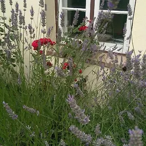  Apartamento Im Einhornhaus